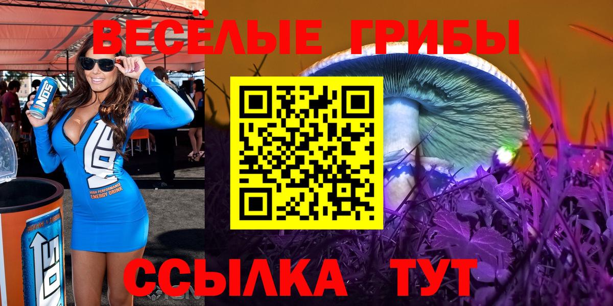 Галлюциногенные грибы MAGIC MUSHROOMS Котельники